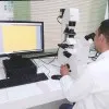 chebaibi salah