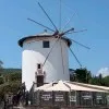 Tuğçe SÜSLÜ ÖZGÜR