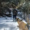 Srikanth