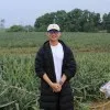 The Hoang Nguyen