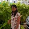 Vidya Rajput