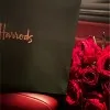 Anoud Albloushi