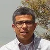 Ahmed Aboulwafa