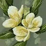 hossam hamada