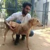 Sanjay Singh