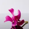 Visali