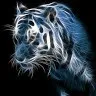 Toseeq Ur Rehman