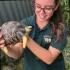 Brittany Malcolmson
