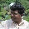 Gokul