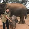 Diksha lade