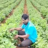 Anand Alur