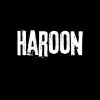 Haroon Sameer
