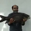Debasis Sasmal