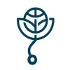 International Medicine Programs