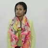 Aysha Amir
