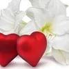 husham adam