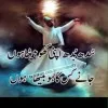 Mohammad Ramzan