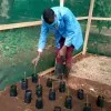 John Kimathi