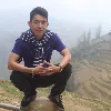 Tin Bui