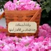 Afrah Ahmed Mohammed Humran