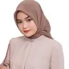 Hanizah Dwi Safitri