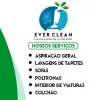 Ever Clean
