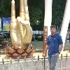Rituraj Sarkar
