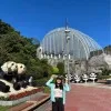 Alice Fan