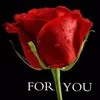 Ramzy