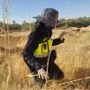 Norah Al Ibrahim