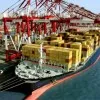 Import Export Organization from India