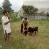 Prabhat Singh