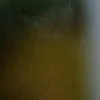 MD Noman