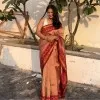 Dhanvi Doshi