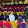 Bich Vu