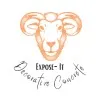 Expose It Decorative Concrete