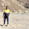 Essam Gebail