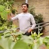 Halesh Kavi kanda
