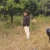 Ashish Tiwari
