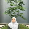 NOOR Hafira