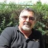 Dan Schultz