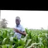 Okumu Steve