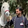 Mehmet Halil DOĞAN