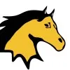 Yellow Horse Media