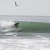 Mike Thurston