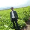 Charles Wahome
