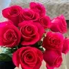 Arpine Galstyan