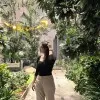 Niki Roy