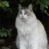 Butters