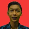 Helmi Fauzi